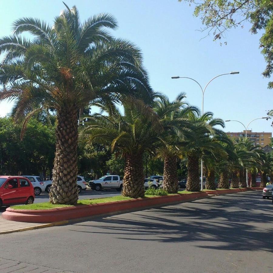 Casa Dos Leones Ξενοδοχείο Σαντιάγκο Εξωτερικό φωτογραφία